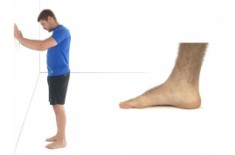 Intrinsic foot muscle